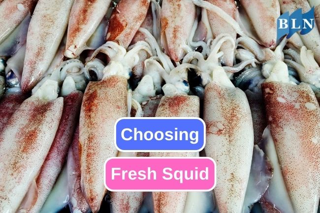 How to Choose the Freshest Squid for Your Dishes